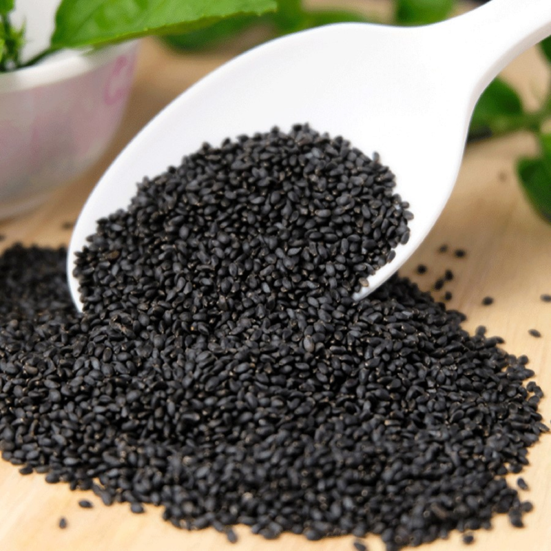 Careplus Wild Basil(Bansilam) Seeds 1000gm – 100% Natural Superfood for Digestion, Hydration & Healthy Lifestyle | Rich in Fiber, Calcium & Omega-3